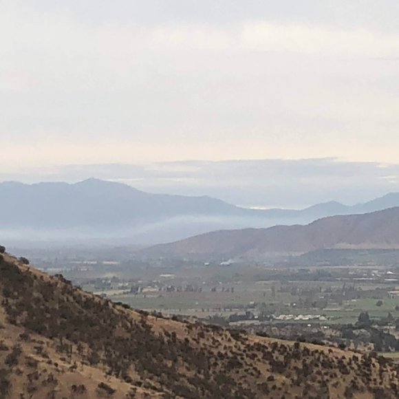 Meet your Posher, Jeannie - Picture 11 of 15